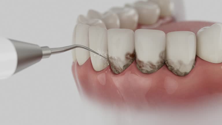 Reliable Dental contractor in Waterloo, IN by Dentist Open Now